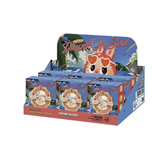 Labubu Enchanted by the Seaside Series Fridge Magnet Front With 6 Boxes